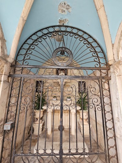 WhatsApp Image 2026-03-11 at 13.16.31.jpeg